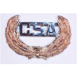 Civil War Replica CSA Cap Pin - Confederate