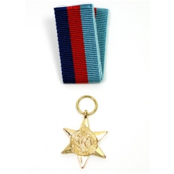 1939-1945 Star (mini)