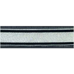 Waffen S.S. Staff Officer's