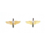 WWII Army Air Corps Officer's Collar Insignia