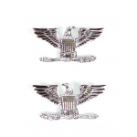 Colonel's Rank Insignia