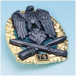 Army General Assault Badge (75 Engagements)