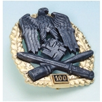 Army General Assault Badge (100 Engagements)