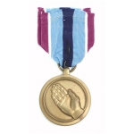 Humanitarian Service Medal
