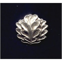 Oak Leaves to the Knight's Cross