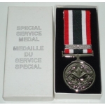 Special Service Medal With NATO Bar, (orig)