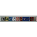 Field Marshall Erwin Pommel Ribbon Bar