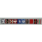 SS General Karl Wolf Ribbon Bar