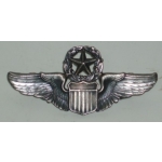 US Command Pilots Wings