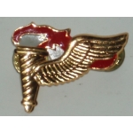 US Pathfinder Badge